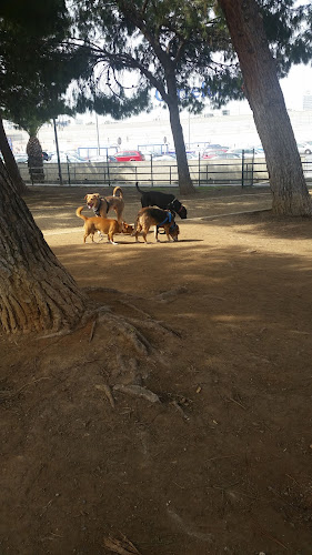 ZECA - Jardín Catedrático Fernando Piñuela (Zona Canina)