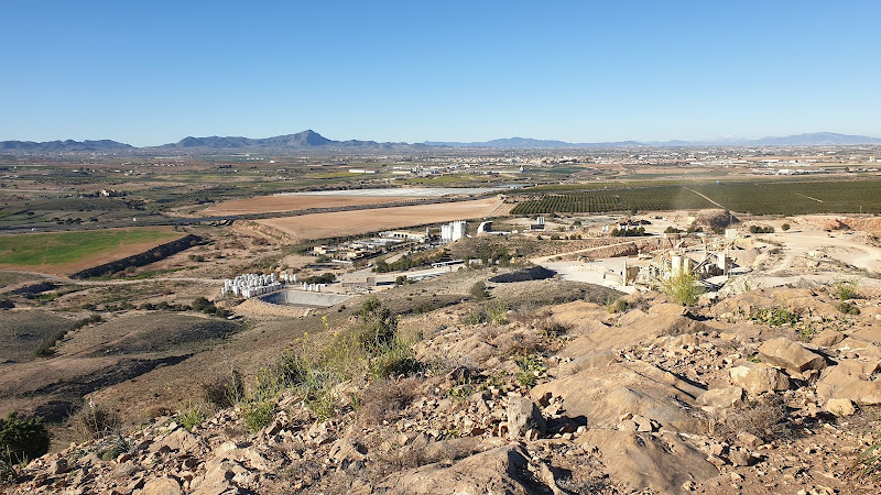 Cabezo de Los Olivos