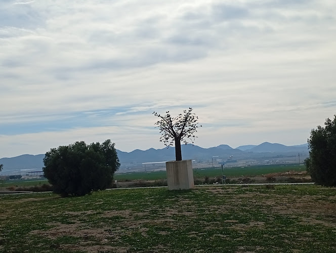 Escultura 🌳 árbol de fuentealamo (Murcia)