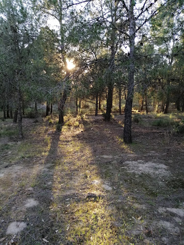 Área Recreativa La Tercia