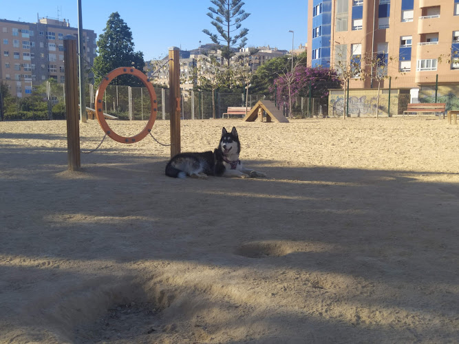 Parque Canino