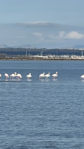 Mirador Flamencos