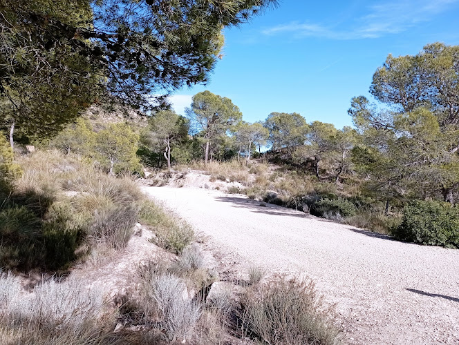 Collado de las Amoladeras