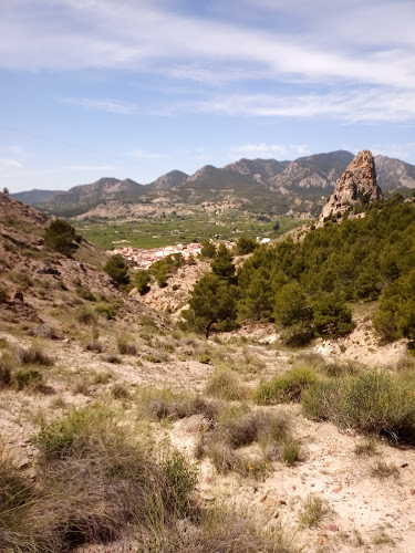 Mirador del solvente