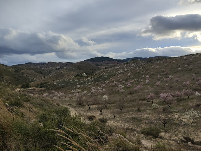 CORTIJO DE LAS JARAPAS
