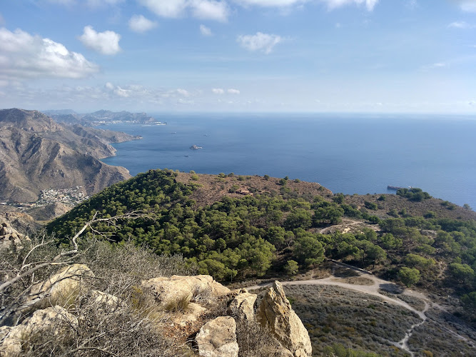 Pico De La Muela