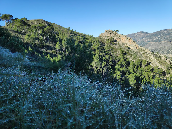 Collado De La Madera