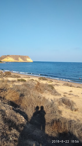 Playa de la Cola