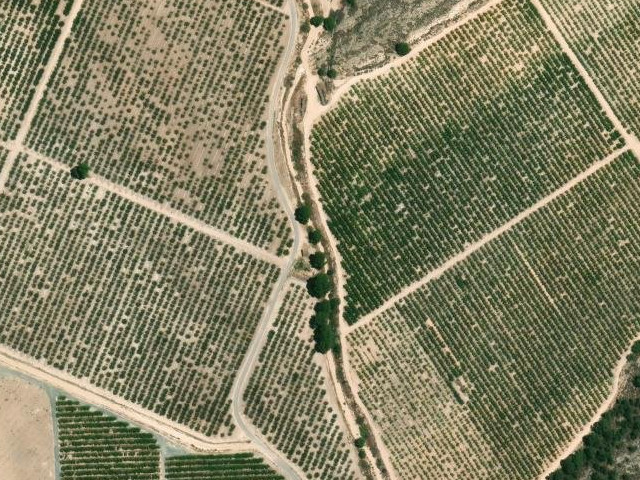 Rambla del Aljunzarejo