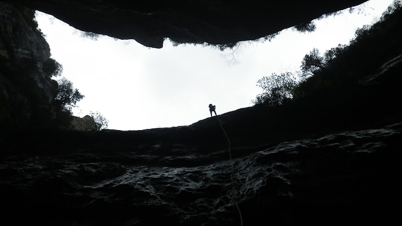 EL TEJO Guías de Montaña, Naturaleza y Aventura