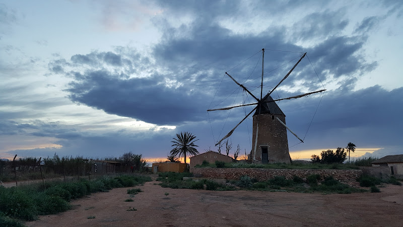 Antiguo Molino En Campo De Cartagena