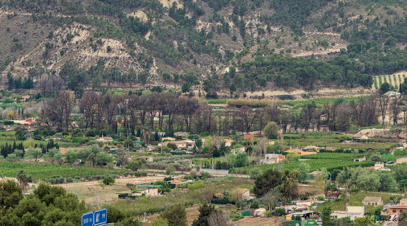 Olmeda del Maripinar