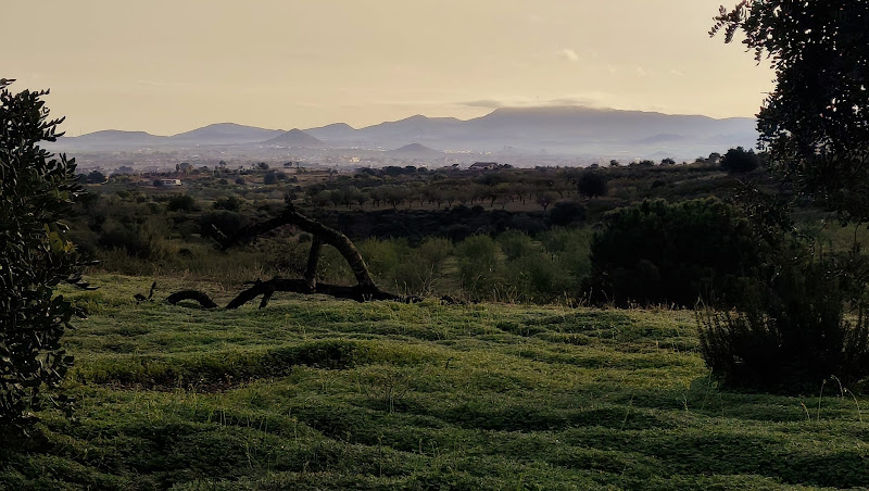 Finca Australia in Region Murcia