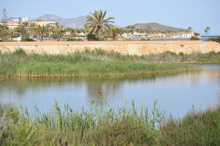 Rambla de las Moreras