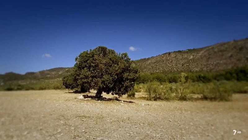 Sabinas de Priego