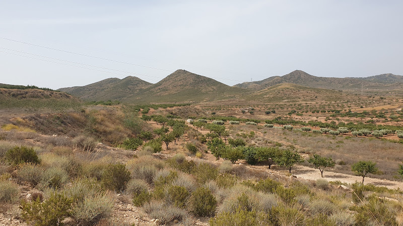 Cruz de Las Palas