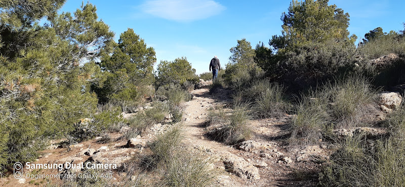 Camino Cruz de San Lázaro