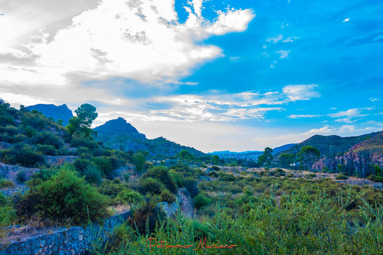 Fuente de Aretusa