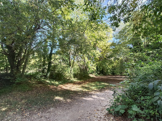 Zona de Merenderos (Fuentes del Marqués)
