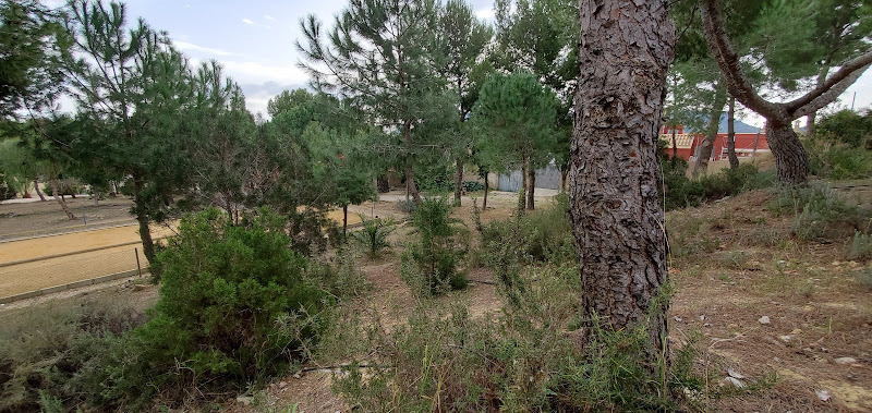 Parque de Andrés Bernabé Ballesteros