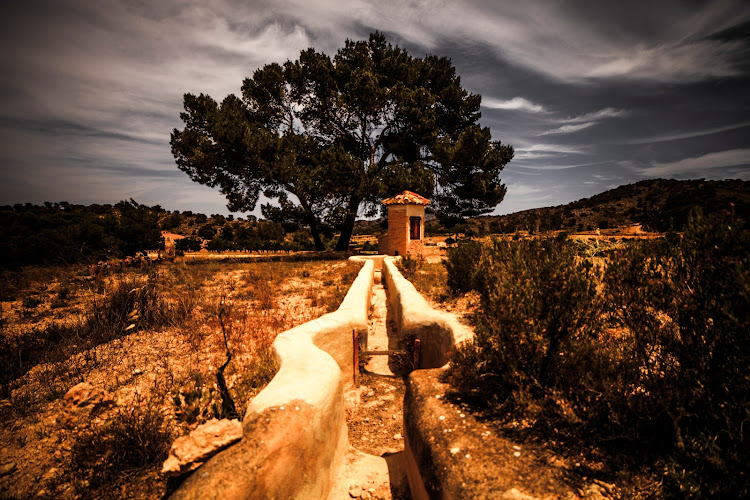 Paraje Finca La Hoya. Bodega, Viñedo