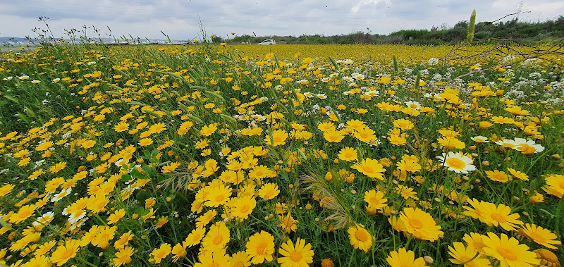 Vértice Geodésico Almanzora