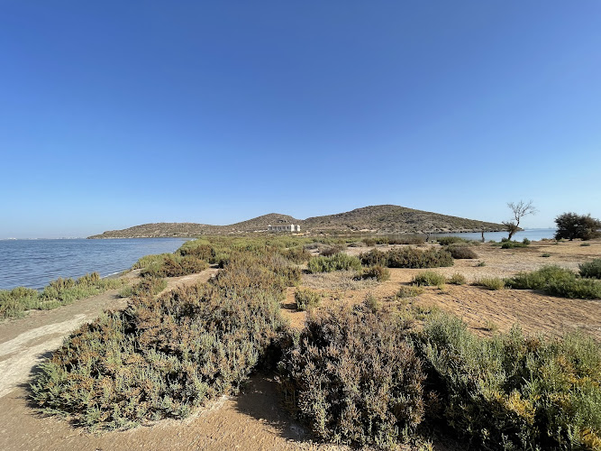 Isla Perdiguera