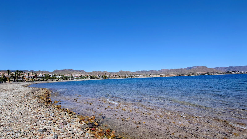 Playa Alamillo