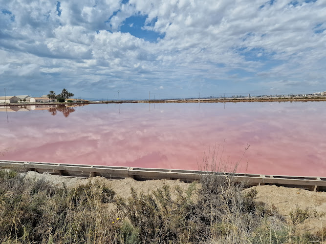 Mirador Charcas Rosadas/Pink Lake Viewpoint