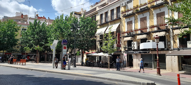 Plaza Camachos