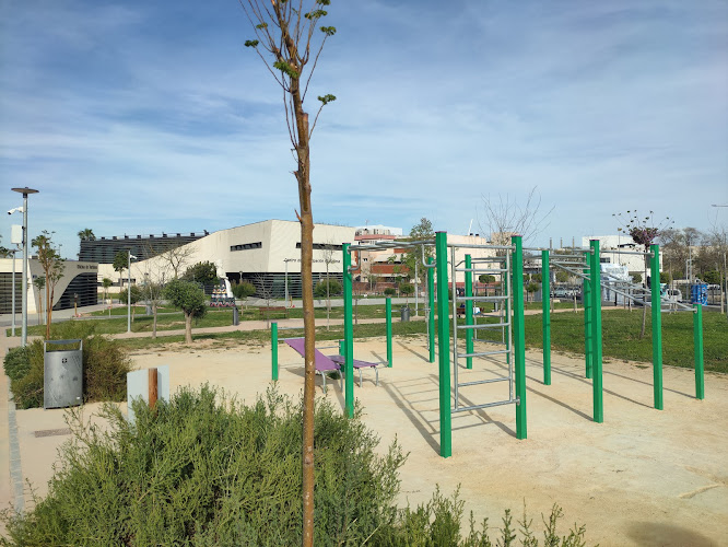 Parque de Calistenia