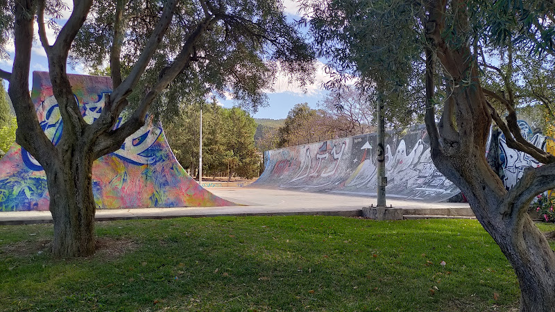 Skate Park La Alberca