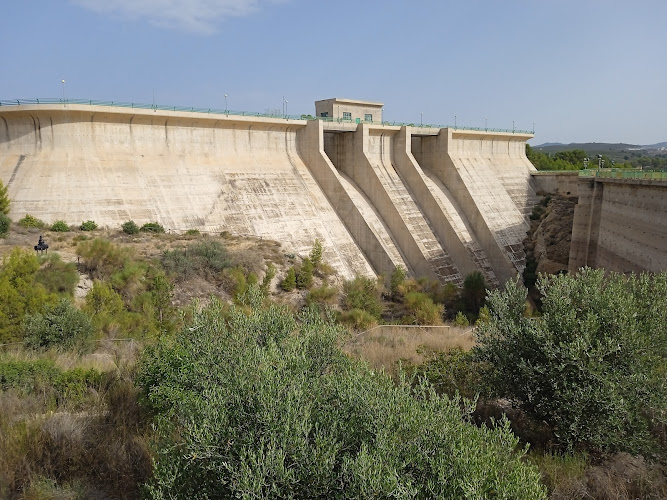 Pantano de Puentes