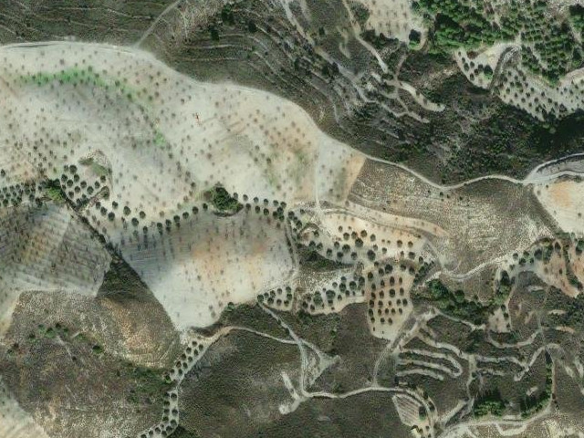 Barranco de las Carriceras