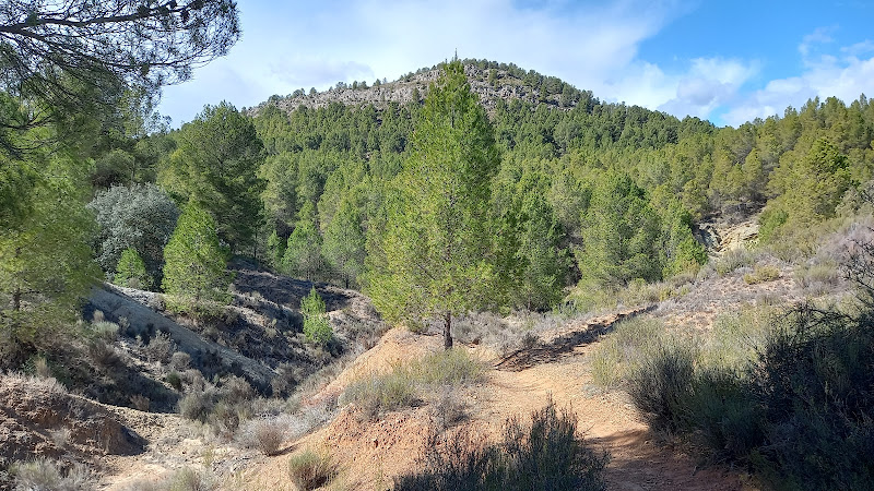 Pozas de burete