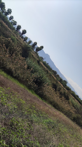 Vía Verde Beniajan