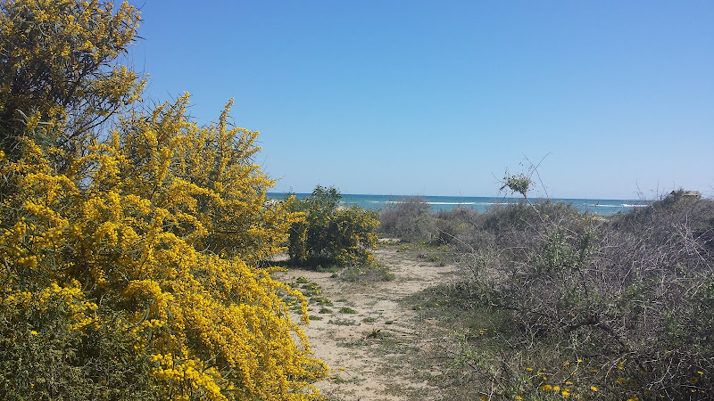 Reservas y Parques Naturales