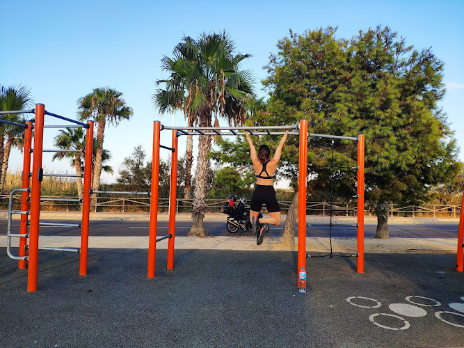 Parque de calistenia