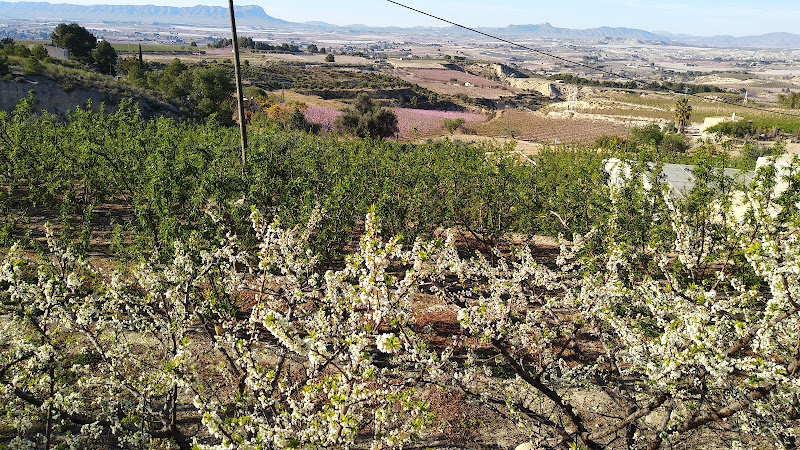 Barranco de Meco