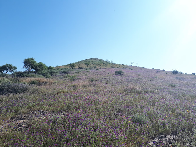 Cerro Negro de Tallante