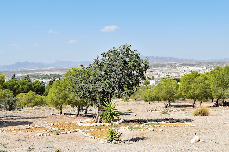 Parque Central