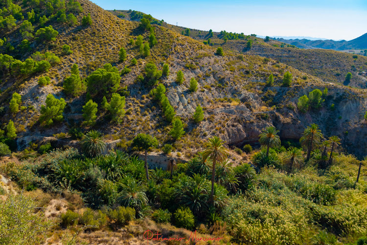 Parque Ecológico Vicente Blanes