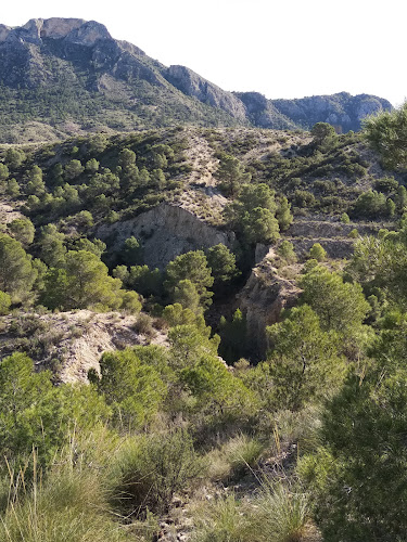 Centro de Información de la Naturaleza Alto del Rellano