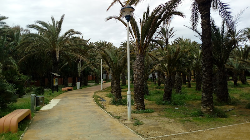 Parque de las Palmeras