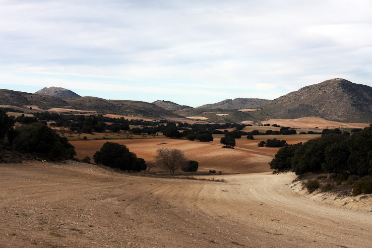 El Perigallo