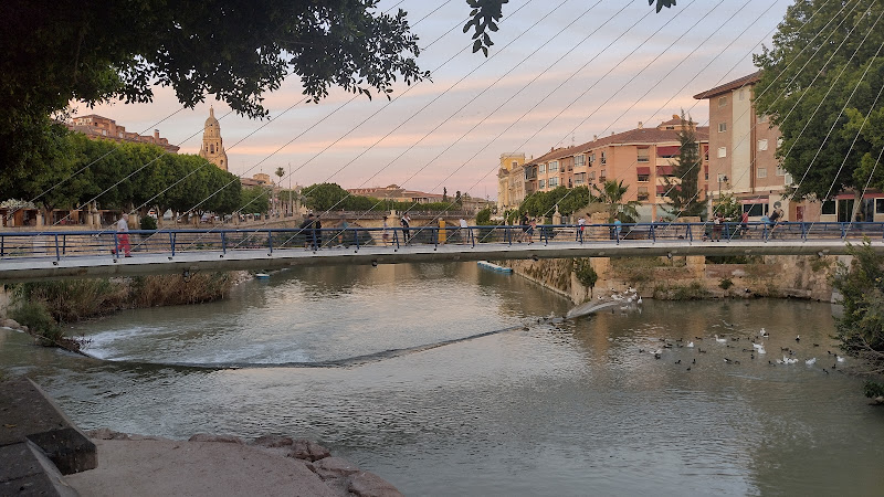 Auditorio Murcia parque