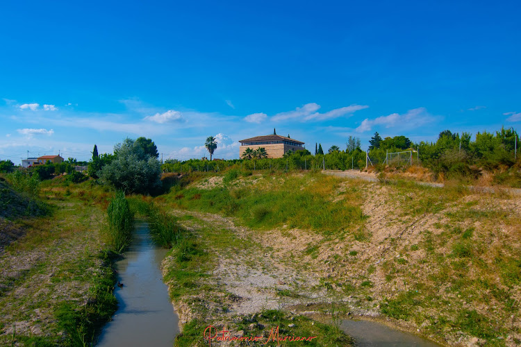 Torre Vieja