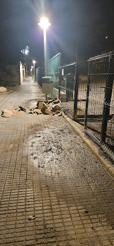 ZECA San Andrés (Zona canina)