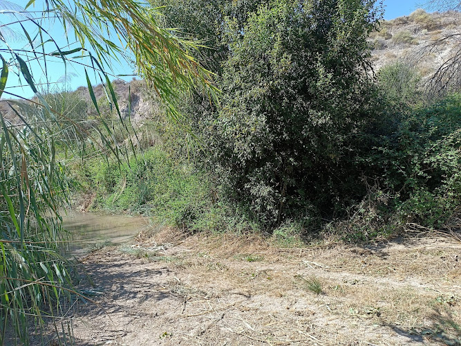 Fuente Correas, Paraje del Río Quipar .