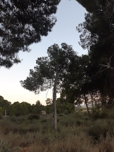 Rambla del Azaraque